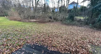 von_poll_real_estate_property_25120007_image_5