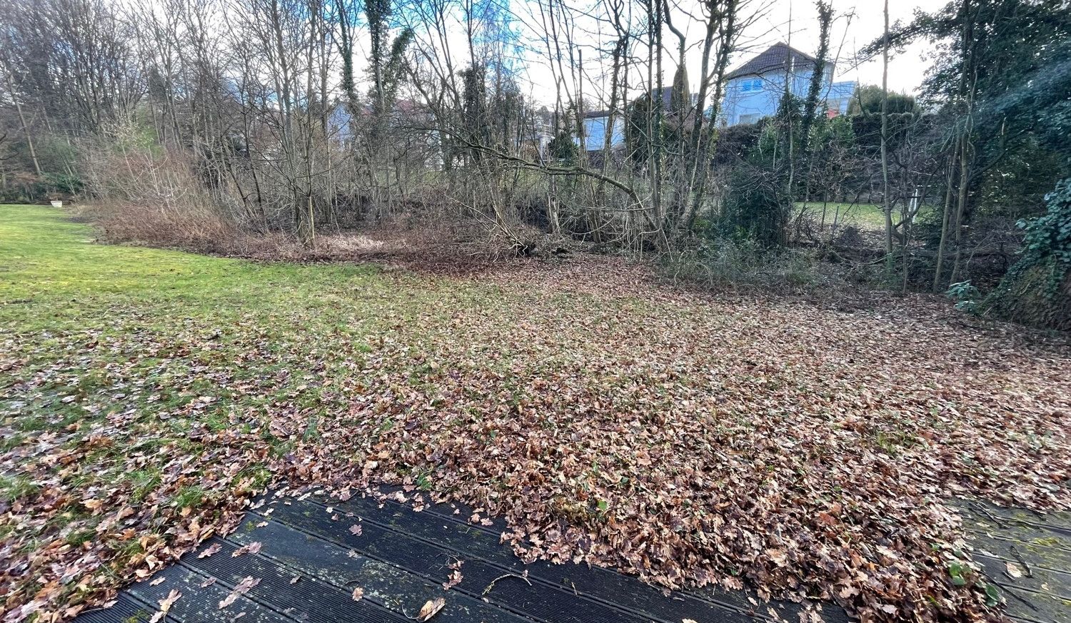 Blick in den Garten