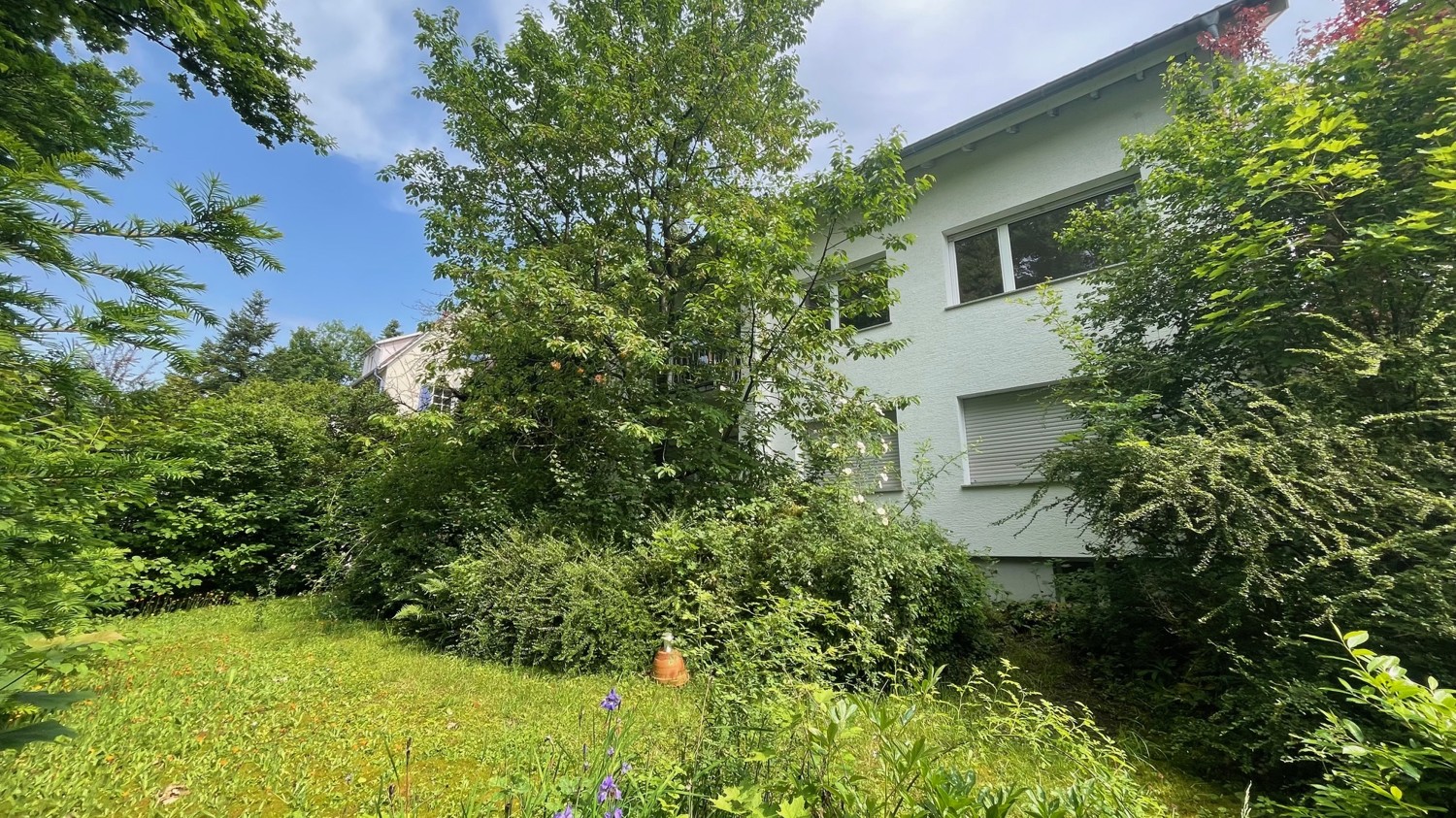 Ansicht vorne