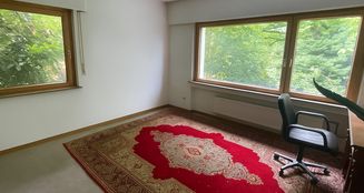von_poll_real_estate_property_25120019_image_11