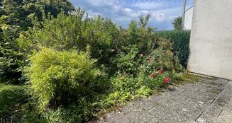 von_poll_real_estate_property_25120017_image_6