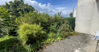 von_poll_real_estate_property_25120017_image_7