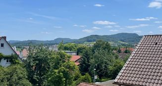 von_poll_real_estate_property_25120020_image_4