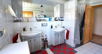 von_poll_real_estate_property_25142010_image_13