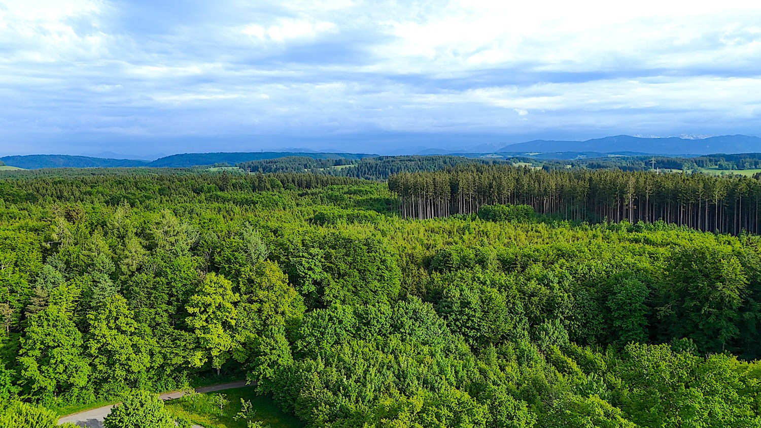 Luftbild Blick Richtung Alpen