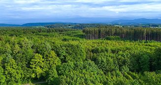 von_poll_real_estate_property_25142009_image_9