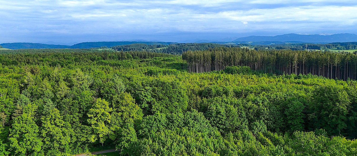Luftbild Blick Richtung Alpen
