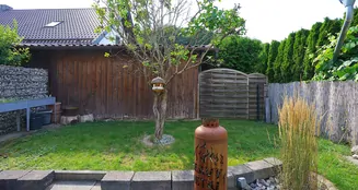 von_poll_real_estate_property_25142035_image_5