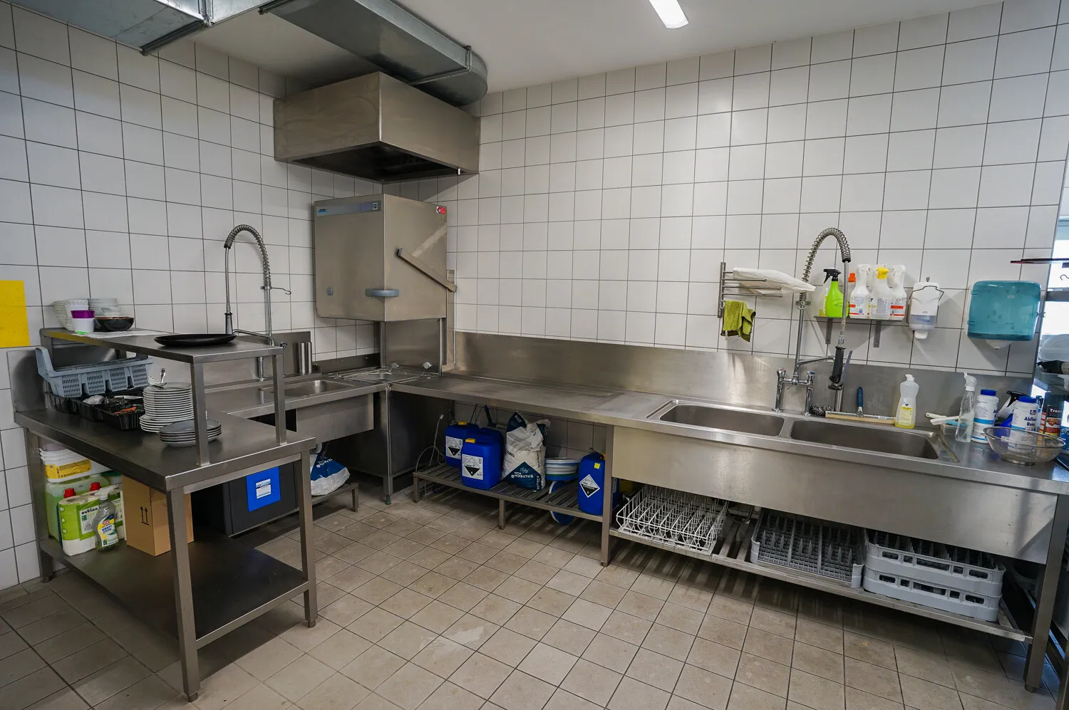 Profiküche Anbau