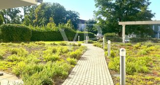 von_poll_real_estate_property_25171230_image_8