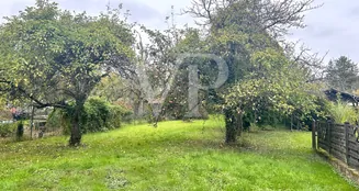 von_poll_real_estate_property_24171201VP_image_0