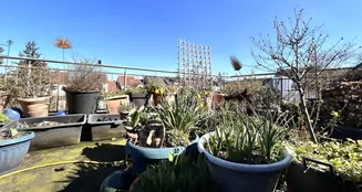 von_poll_real_estate_property_25171212V_image_15