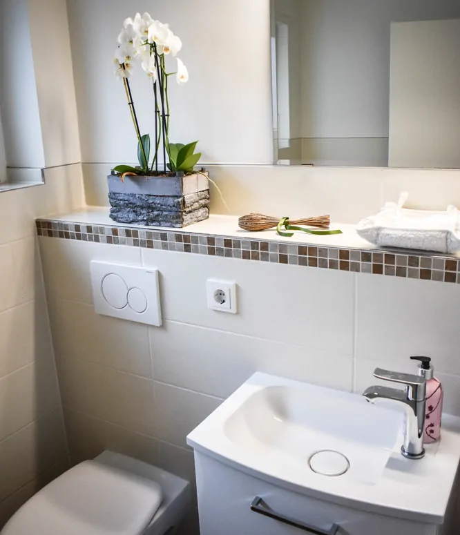 Modernisiertes Gäste-WC