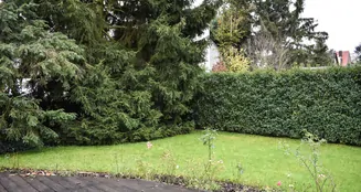 von_poll_real_estate_property_25171235_image_2