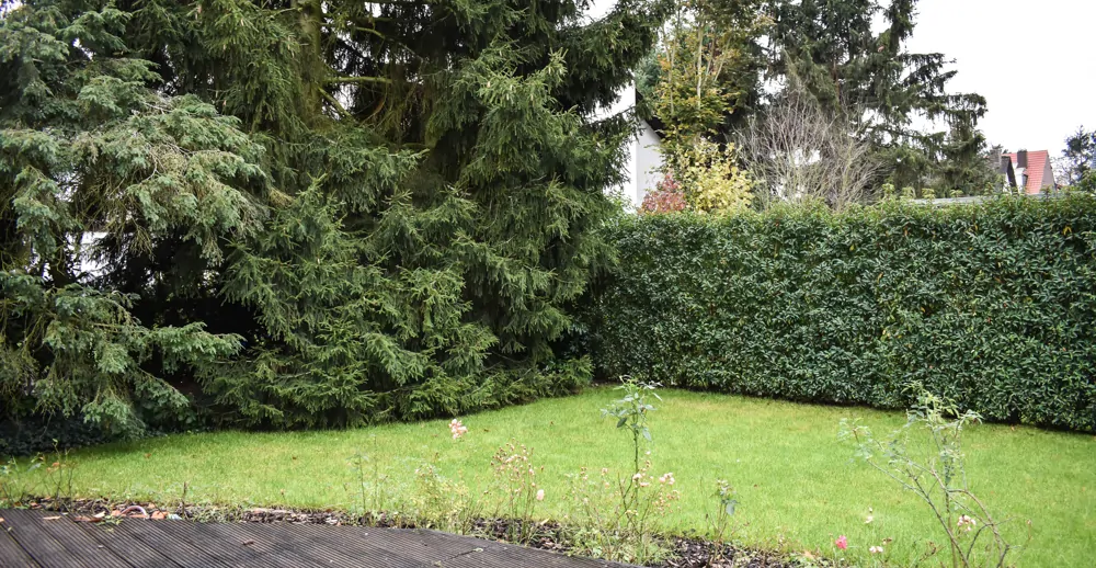 Eigener Garten