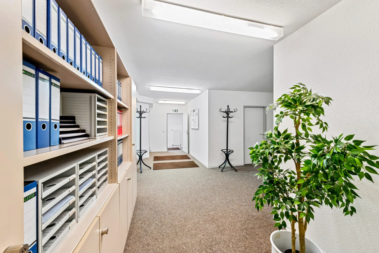 Großzügiger Eingangsbereich zu Büro-/Praxisräume