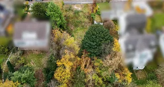 von_poll_real_estate_property_25019035_image_0