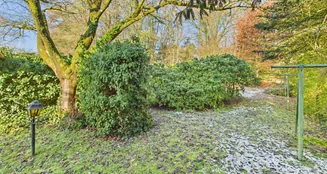 von_poll_real_estate_property_24019032_image_8