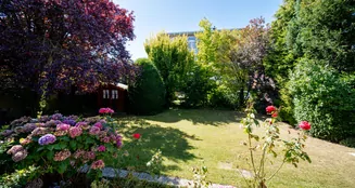 von_poll_real_estate_property_25019028_image_6