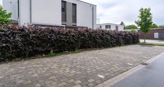 von_poll_real_estate_property_25019018_image_24