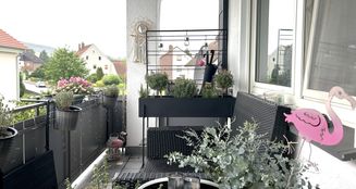 von_poll_real_estate_property_25019027_image_6