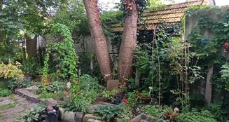 von_poll_real_estate_property_25019032_image_7