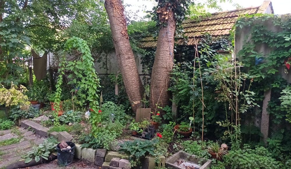 Gartenansicht
