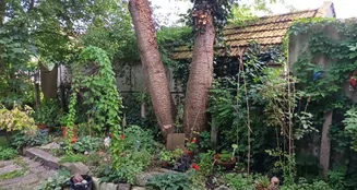 von_poll_real_estate_property_25019032_image_7