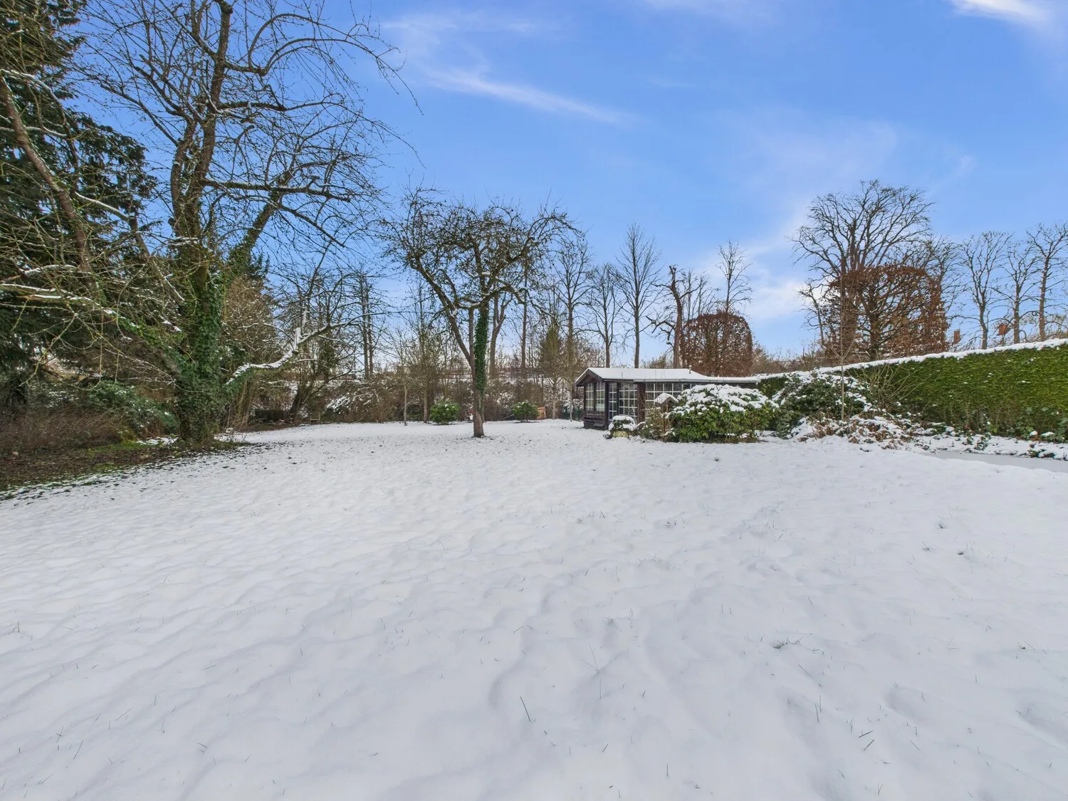 Außenansicht - Garten