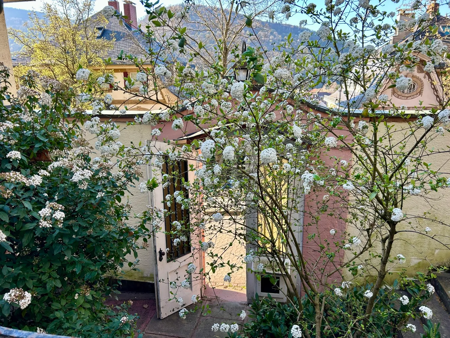 Neuer Preis: Charmante historische Villa mit faszinierendem Schlossblick