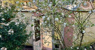 von_poll_real_estate_property_24018038_image_12