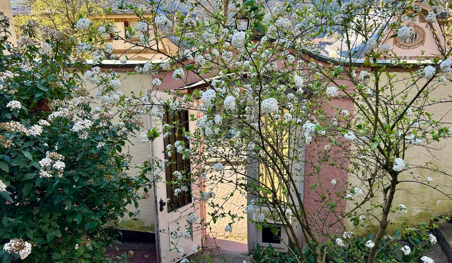 Neuer Preis: Charmante historische Villa mit faszinierendem Schlossblick