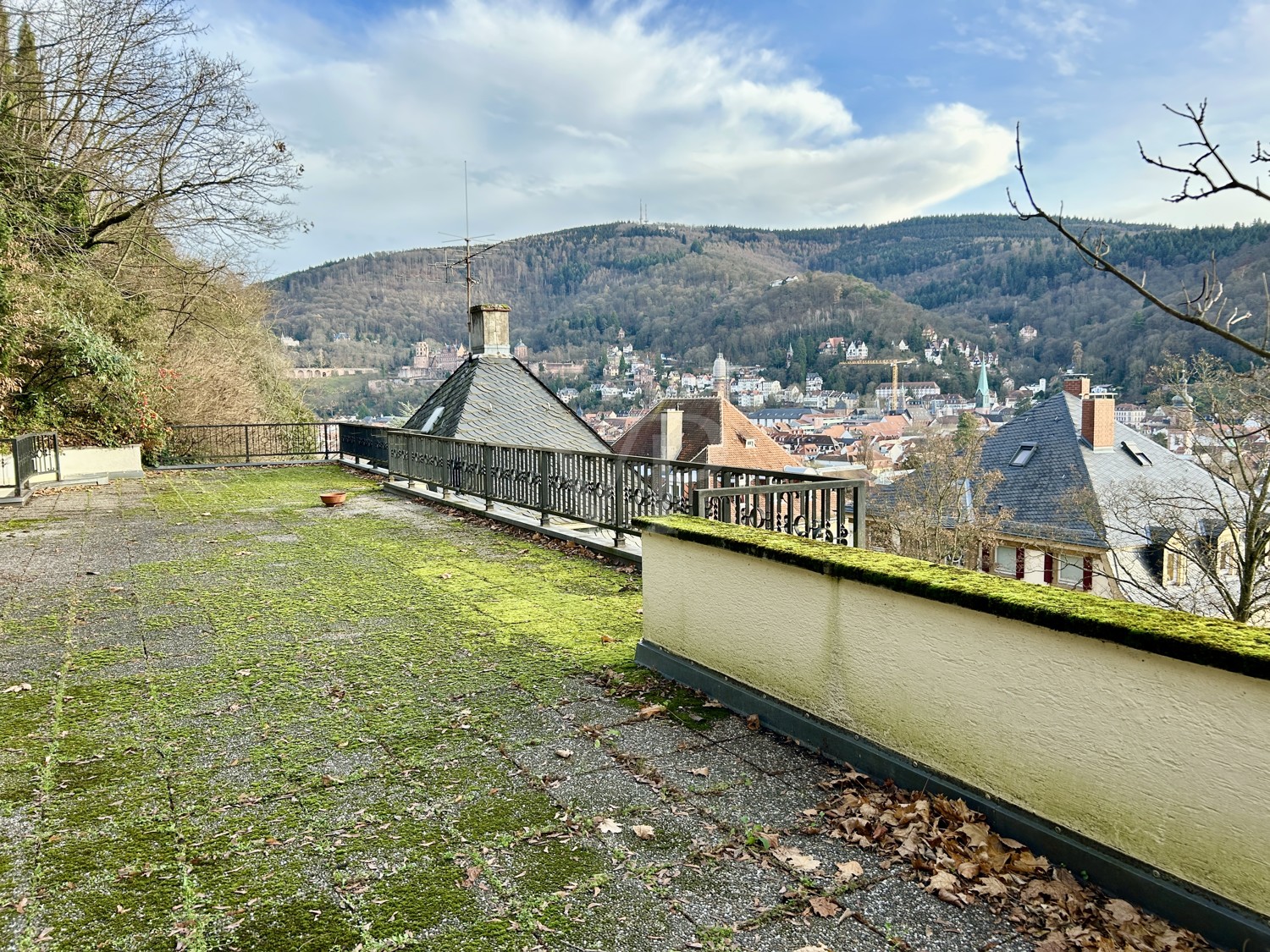 Dachterrasse