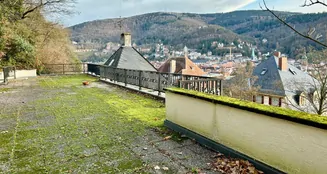 von_poll_real_estate_property_24018038_image_14