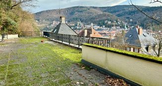 von_poll_real_estate_property_24018038_image_14