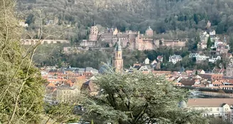 von_poll_real_estate_property_24018038_image_13