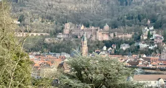 von_poll_real_estate_property_24018038_image_13