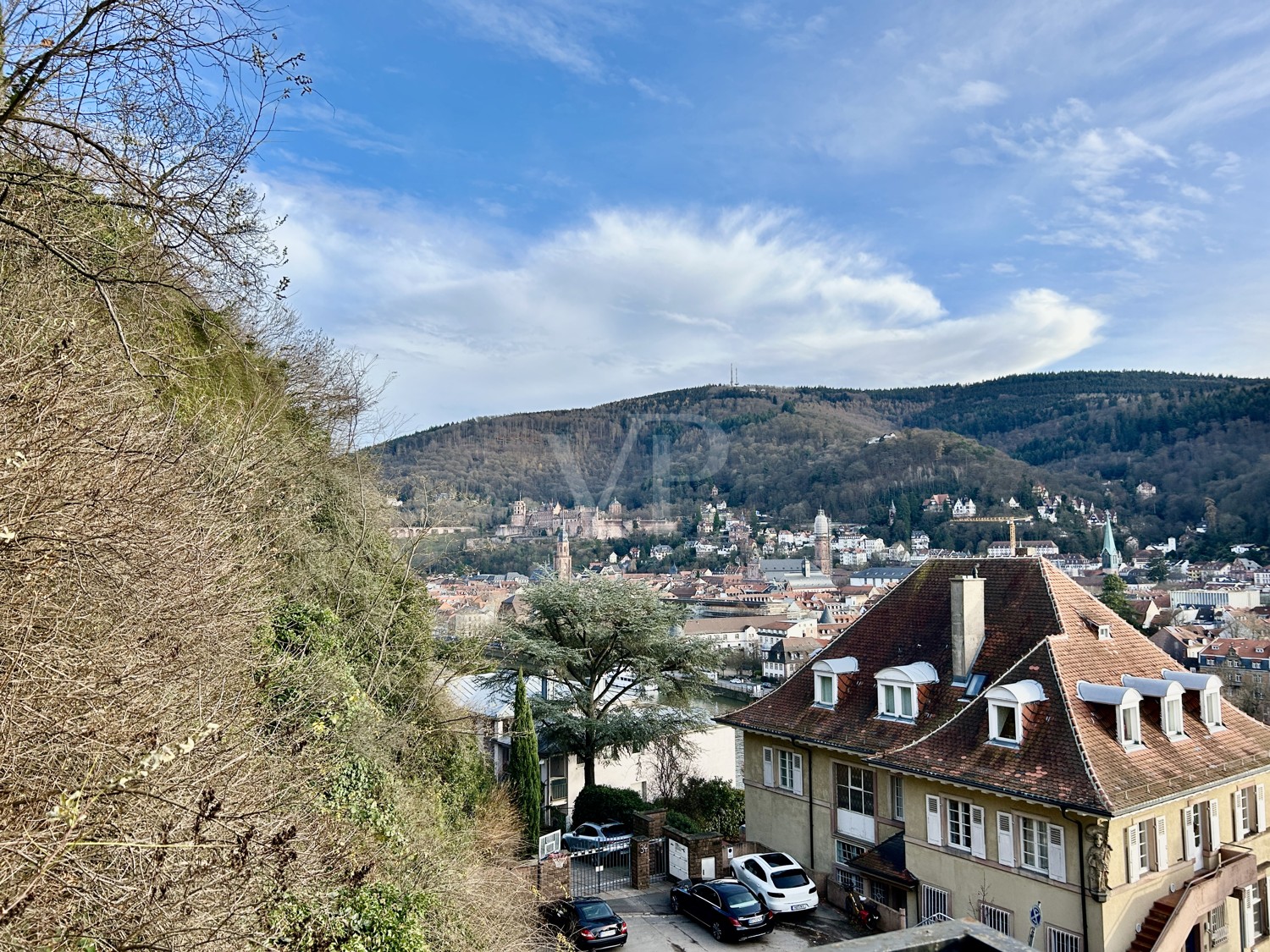 Blick auf das Schloß