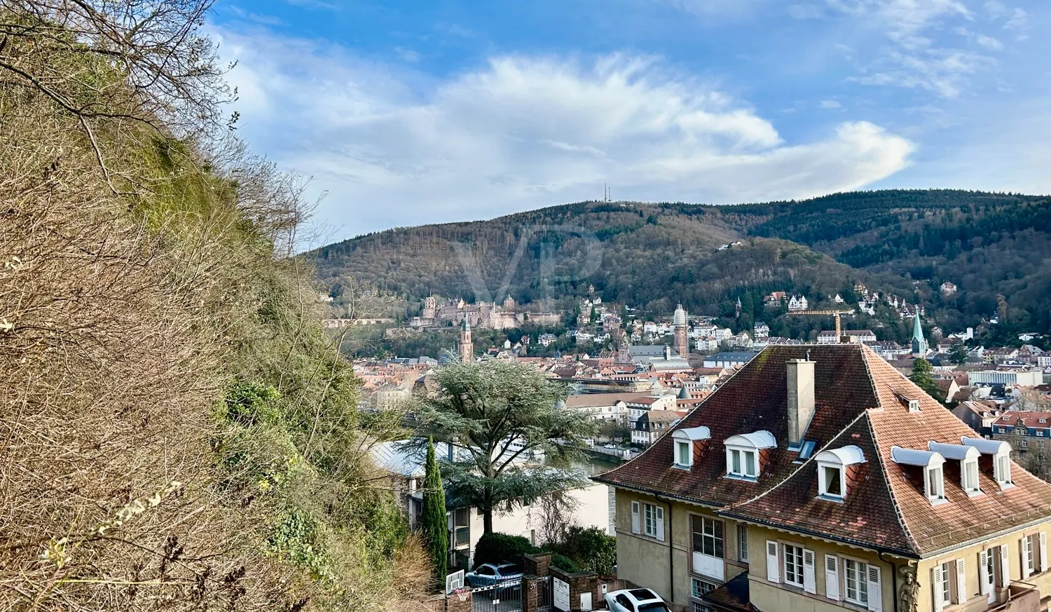 Blick auf das Schloß