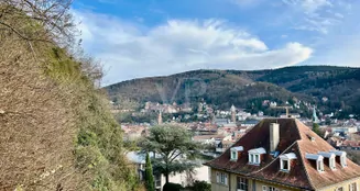 von_poll_real_estate_property_24018038_image_11