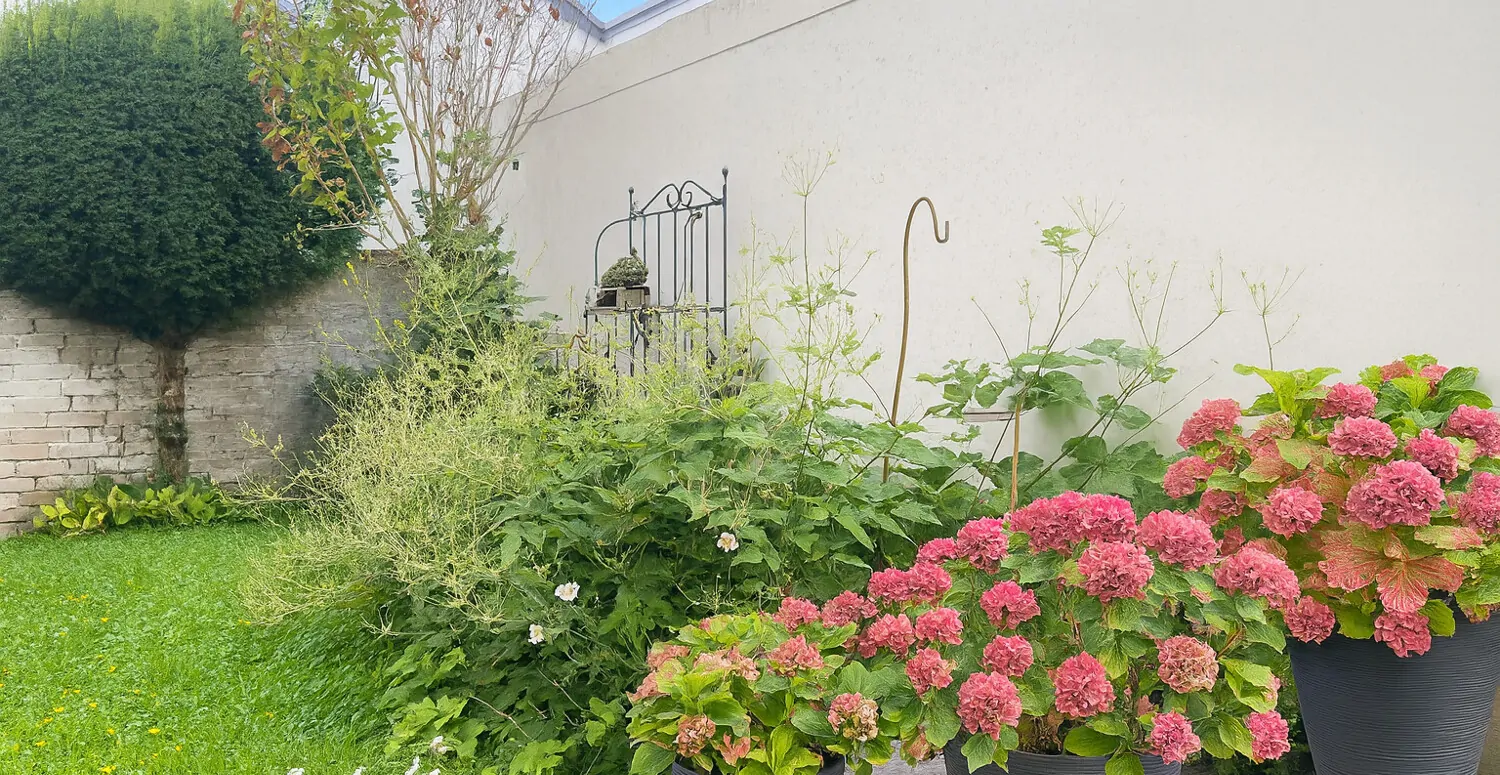 Lichtdurchflutete Altbauwohnung mit Balkon und Garage in ruhiger Lage