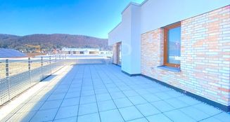 von_poll_real_estate_property_25018029_image_9