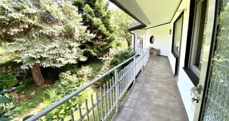 von_poll_real_estate_property_25018032_image_5