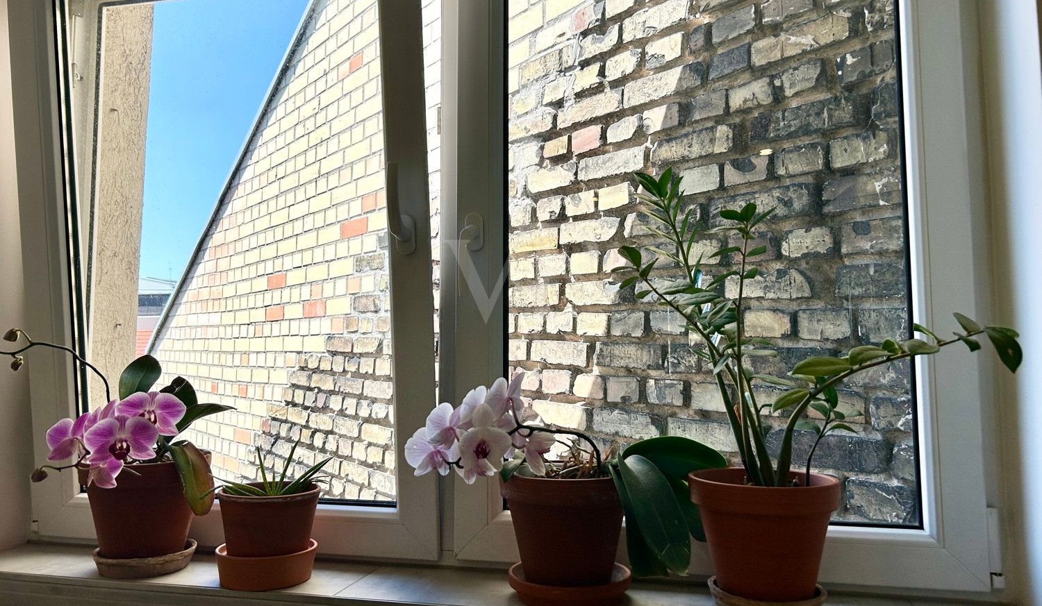 Badfenster