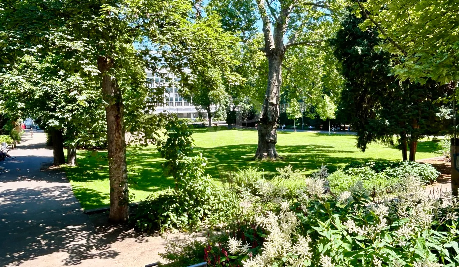 Modernes Loft in Toplage mit großem Wohnbereich und Kamin