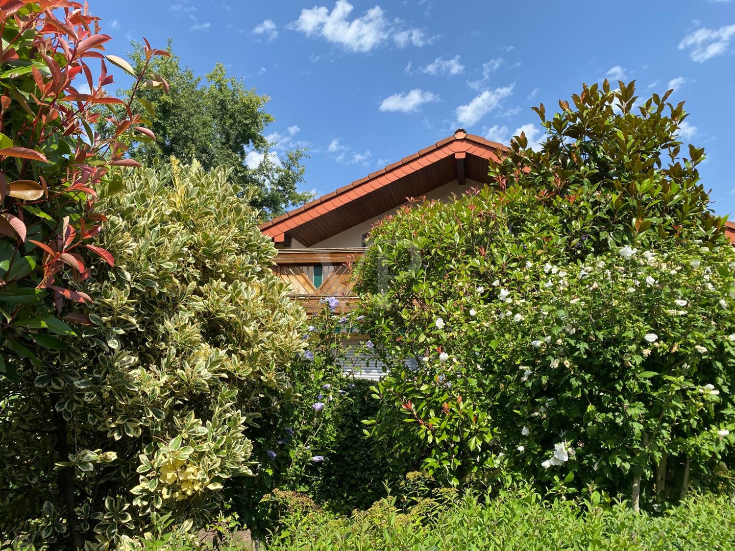 Villa im ruhigen Wohngebiet mit Einfamilien-, Doppel- und Reihenhäusern