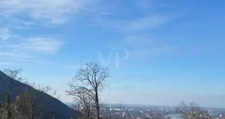 von_poll_real_estate_property_24018016_image_3