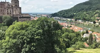 von_poll_real_estate_property_24018016_image_6