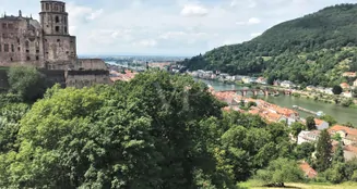 von_poll_real_estate_property_24018016_image_6