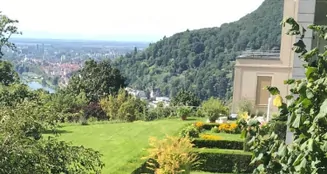 von_poll_real_estate_property_24018016_image_1